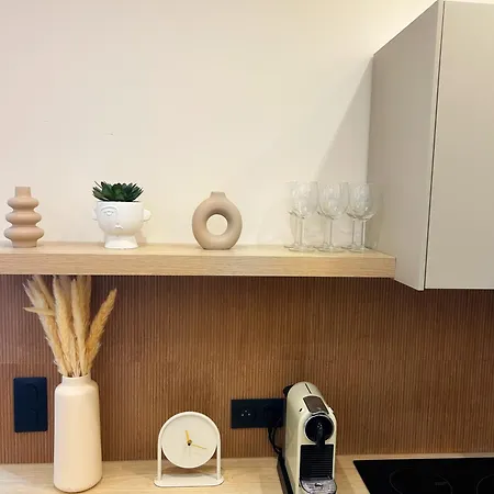 3p Luxueux Au Coeur Du Vieil Appartement Antibes