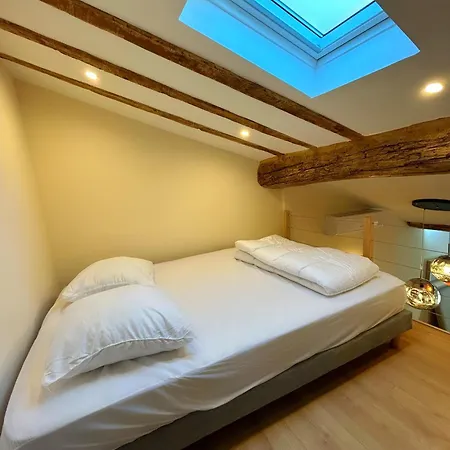 Appartement 3p Luxueux Au Coeur Du Vieil